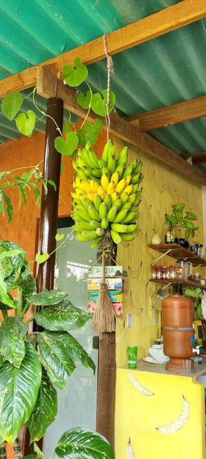 Tenda Da Lua Alto Paraiso de Goias Luaran gambar